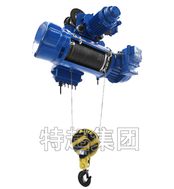 BCD钢丝绳电动葫芦.png