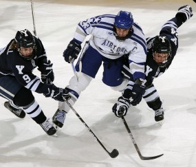 milan.com平台发展趋势使用指南