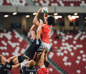 使用米兰·(milan)是一种怎样的体验